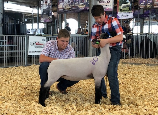 City Limits Winners
